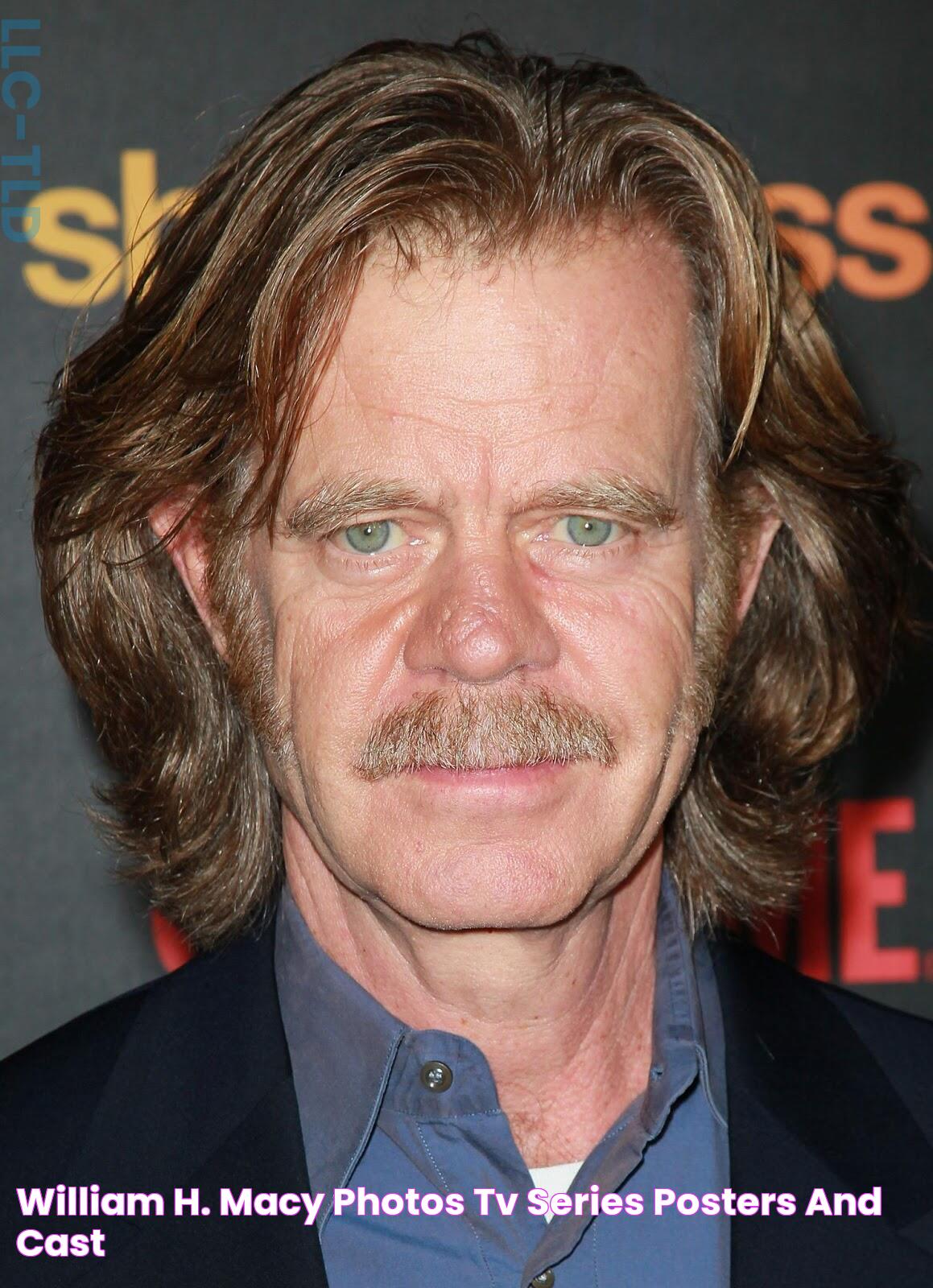 The Ultimate Guide To William H. Macy: His Movies, TV Shows, And Career