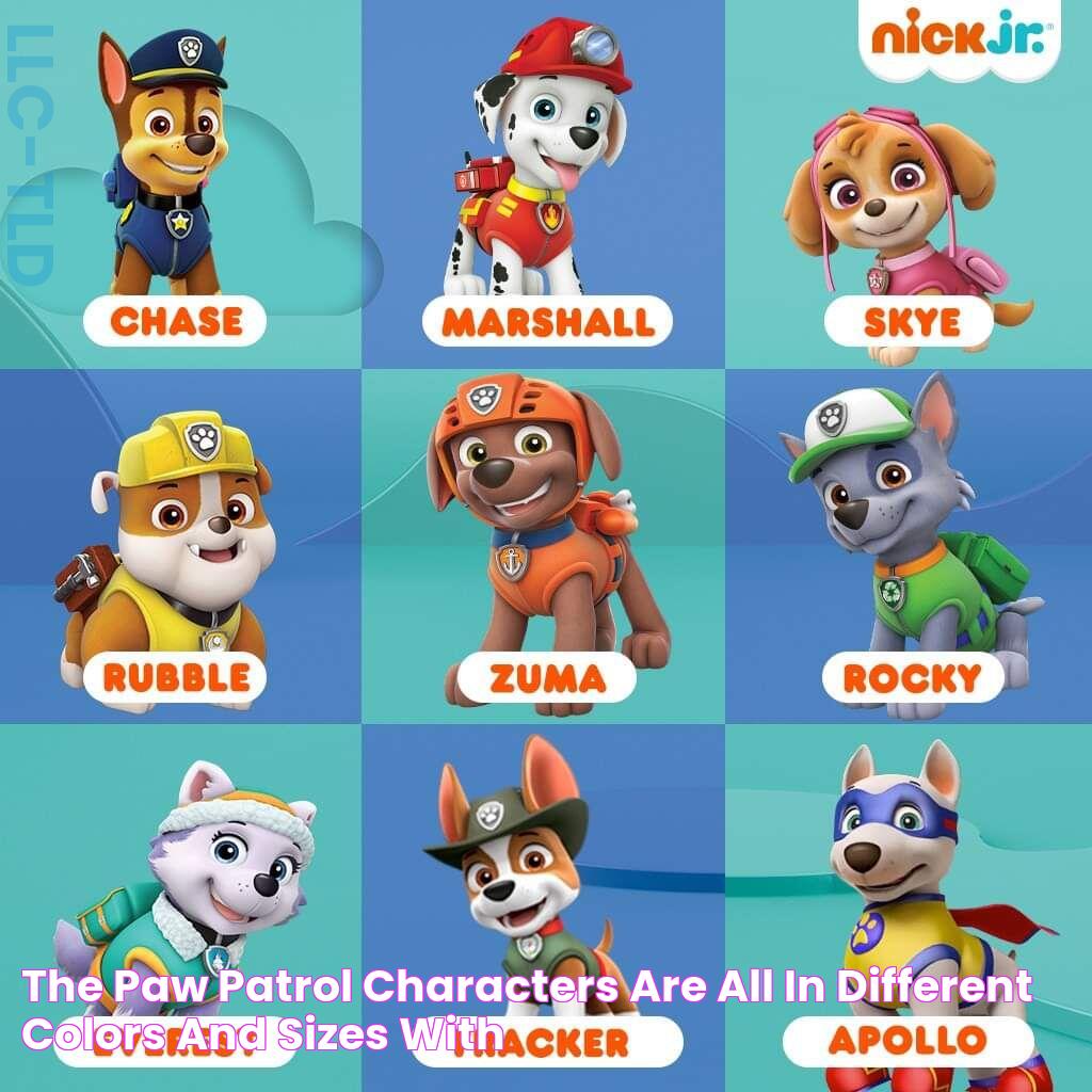 the paw patrol characters are all in different colors and sizes, with