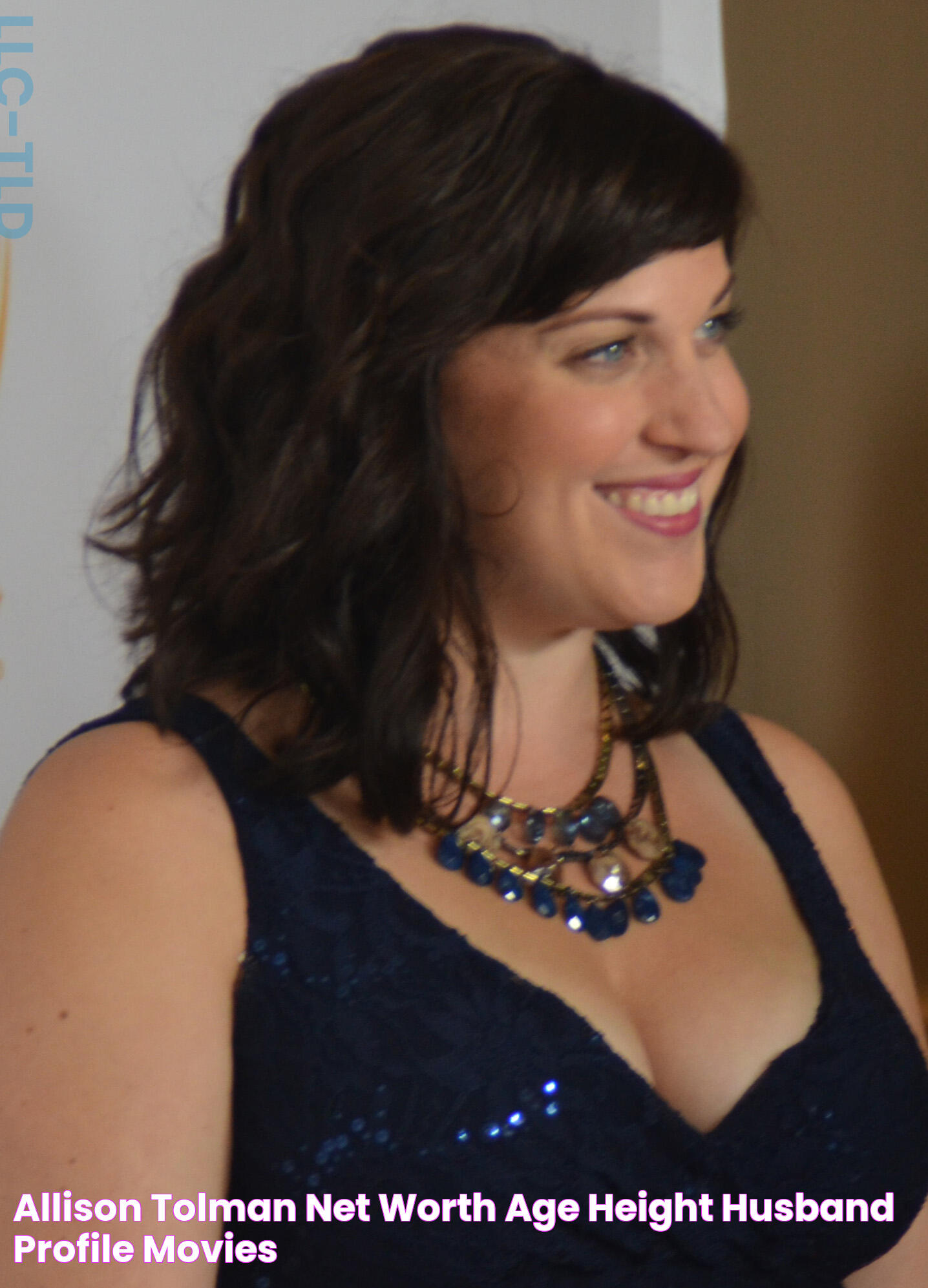 Allison Tolman Net Worth, Age, Height, Husband, Profile, Movies