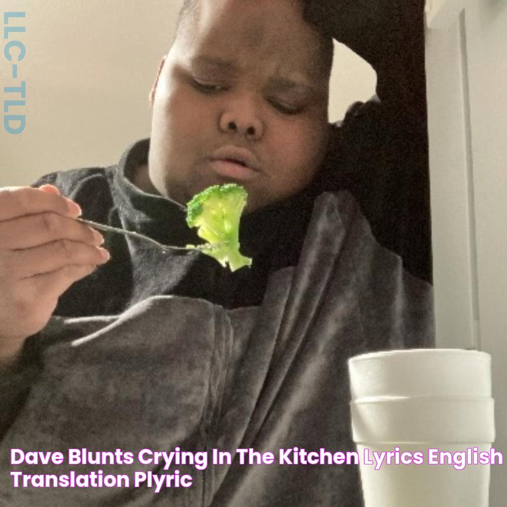 Dave Blunts CRYING IN THE KITCHEN lyrics (English Translation) Plyric