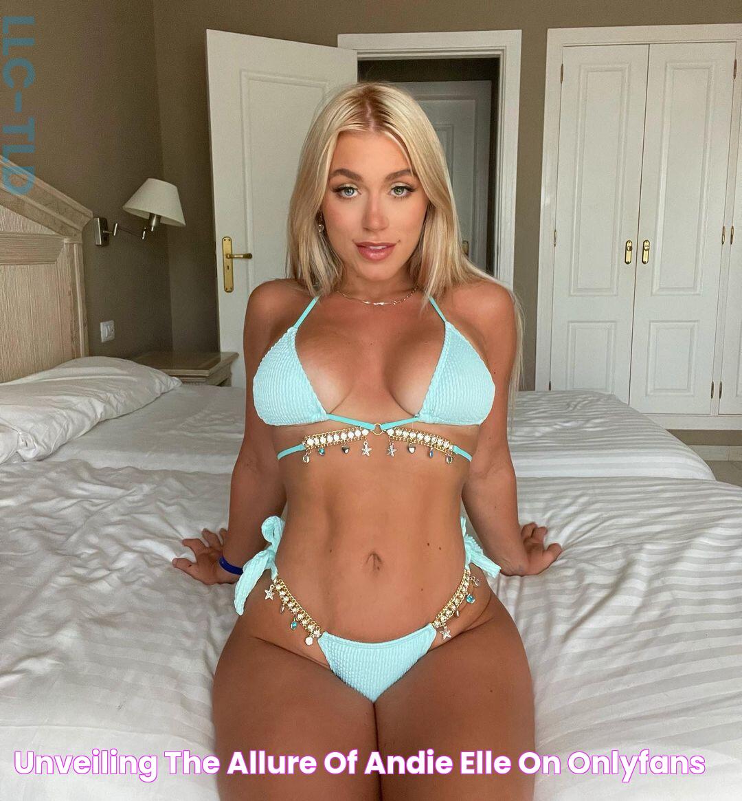 OnlyFans Star Andie Elle: Explore Her Exclusive Content