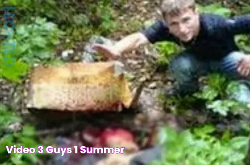 Video 3 guys 1 summer