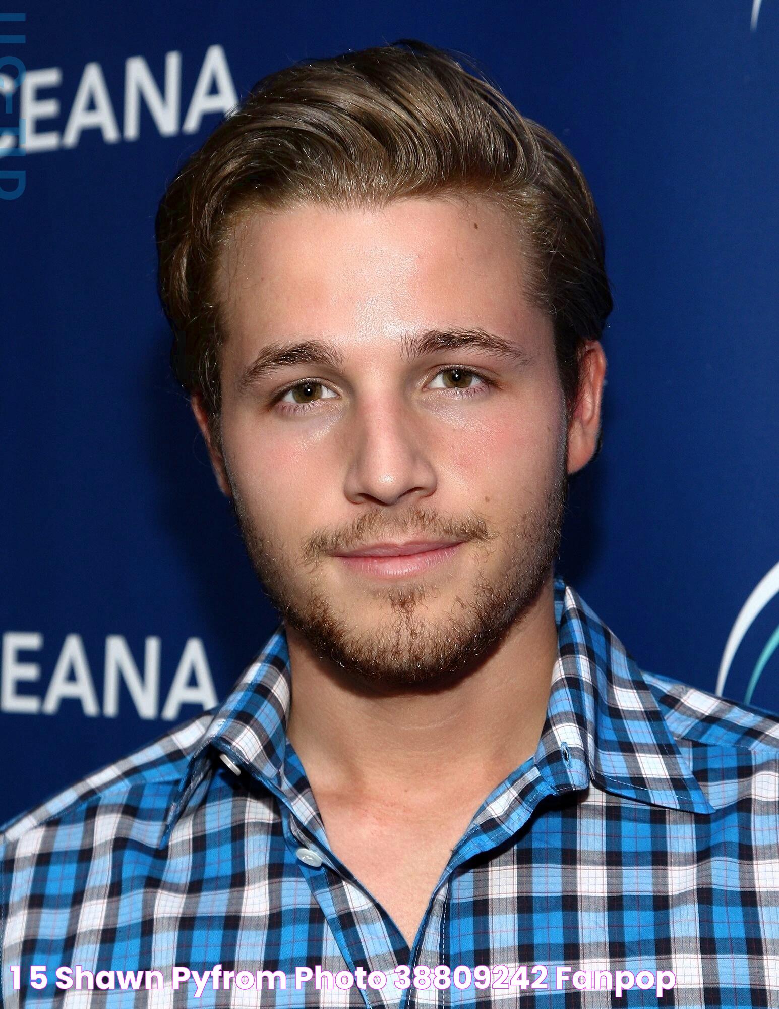 1 5 Shawn Pyfrom Photo (38809242) Fanpop