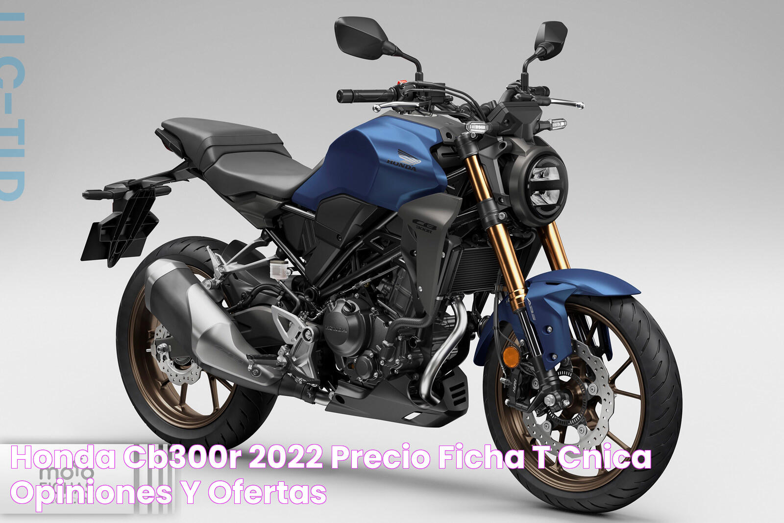 Honda CB300R 2022 Precio, ficha técnica, opiniones y ofertas