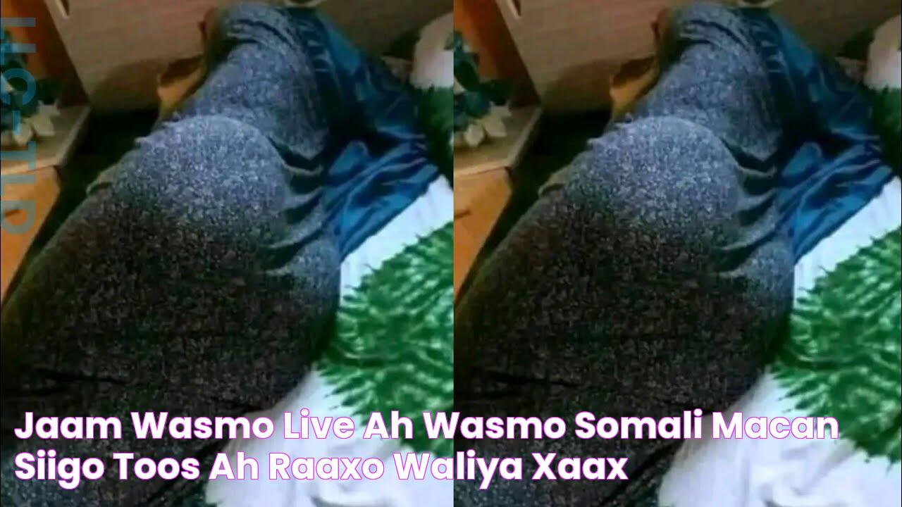 JAAM WASMO LIVE AH WASMO SOMALI MACAN SIIGO TOOS AH RAAXO WALIYA XAAX😱😱