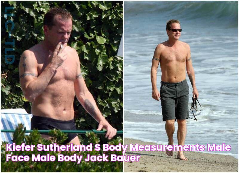 Kiefer Sutherland's body measurements Male Face, Male Body, Jack Bauer