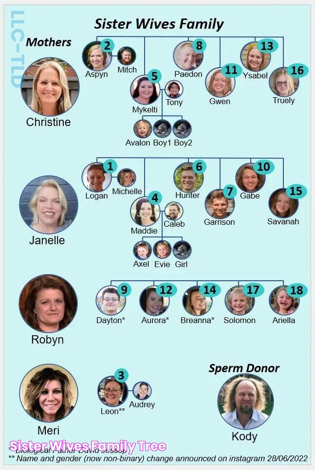 Sister Wives Family Tree