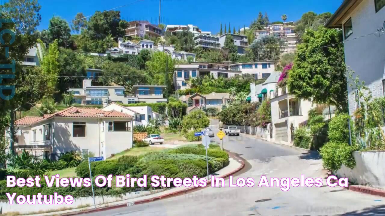 Best Views of Bird Streets in Los Angeles, CA YouTube