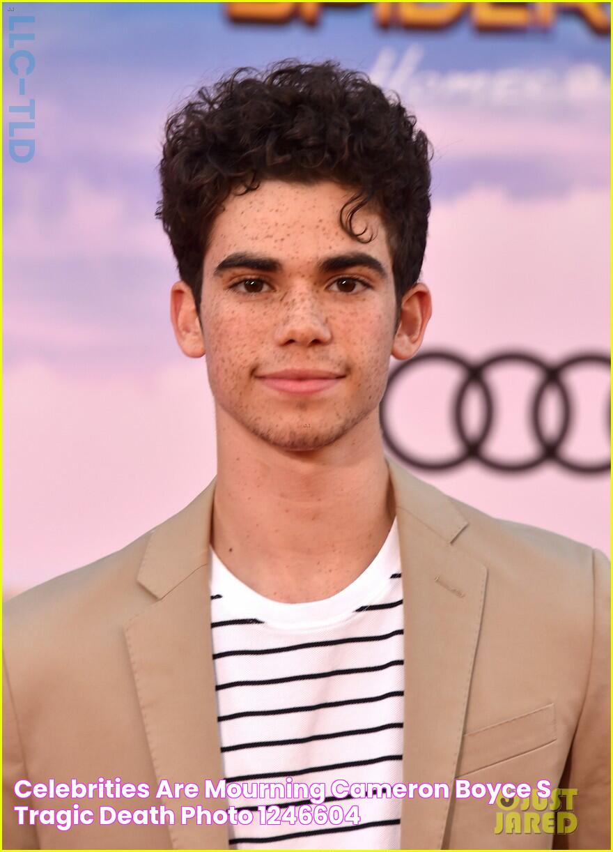 Celebrities Are Mourning Cameron Boyce's Tragic Death Photo 1246604