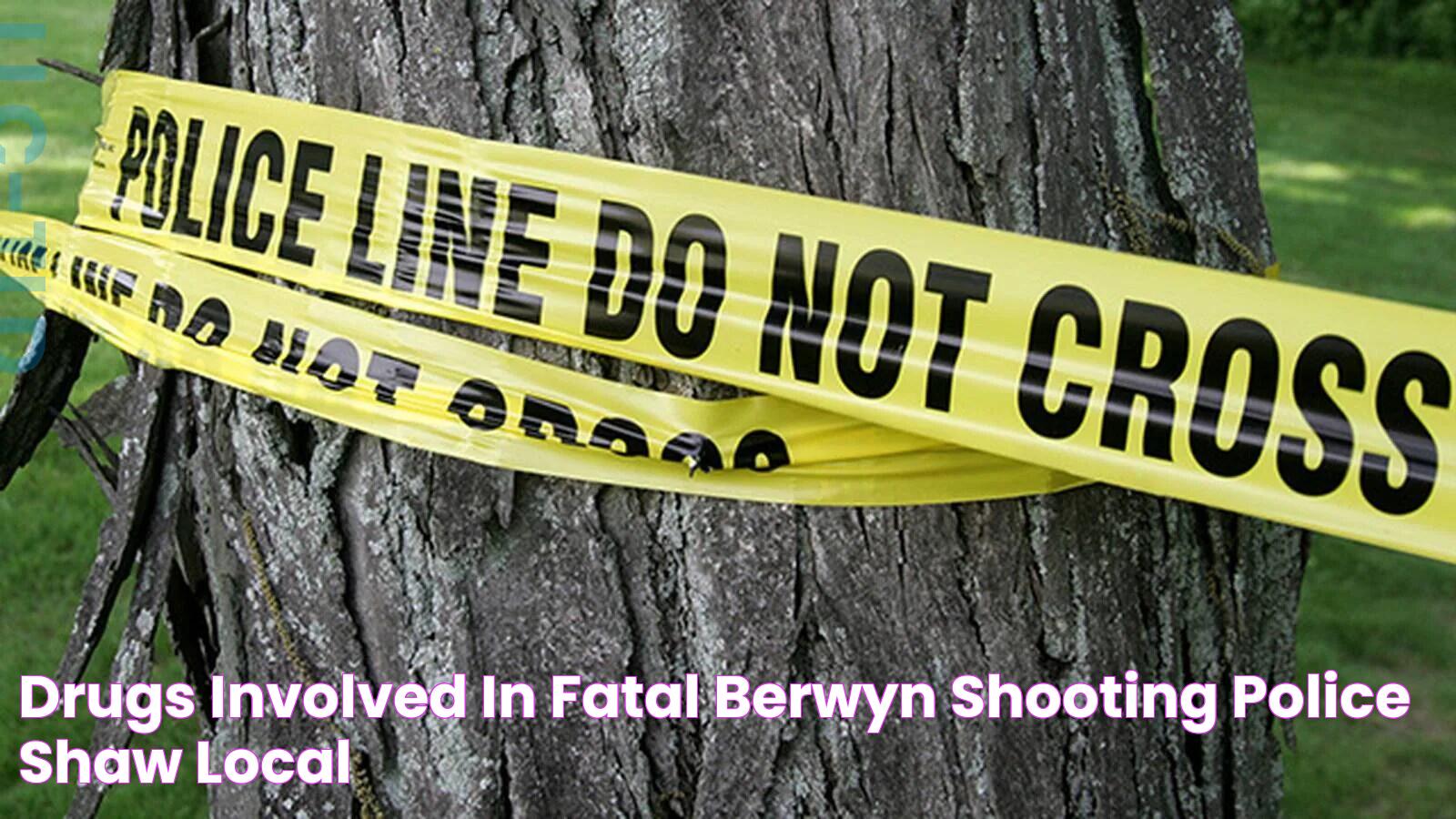 Drugs involved in fatal Berwyn shooting police Shaw Local