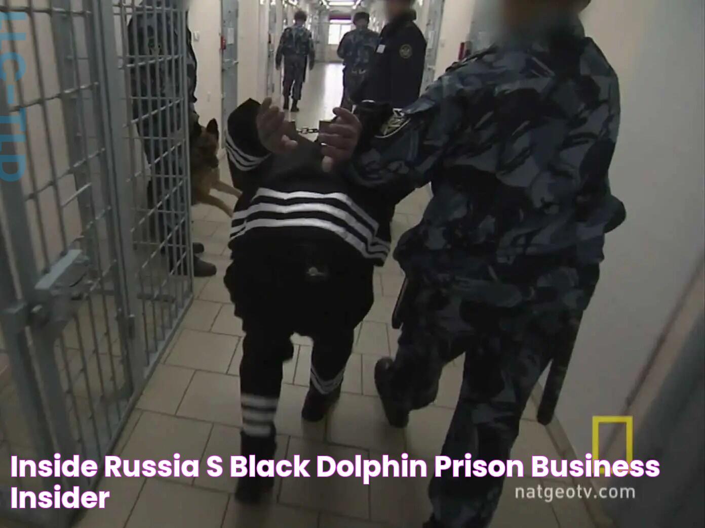 Dive Into The Notorious Black Dolphin Prison: Russia's Harshest Penal Colony