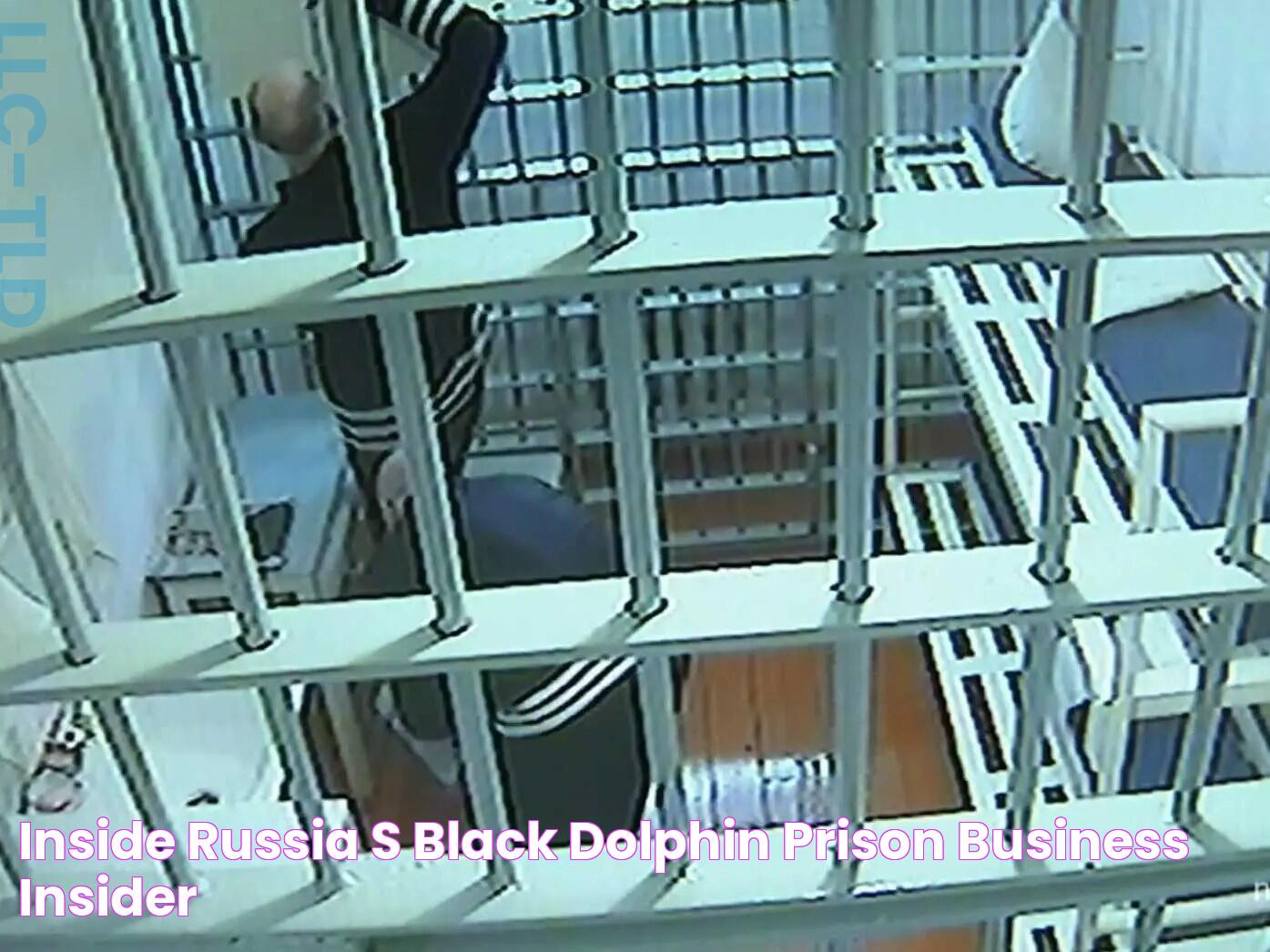 Inside Russia's Black Dolphin prison Business Insider