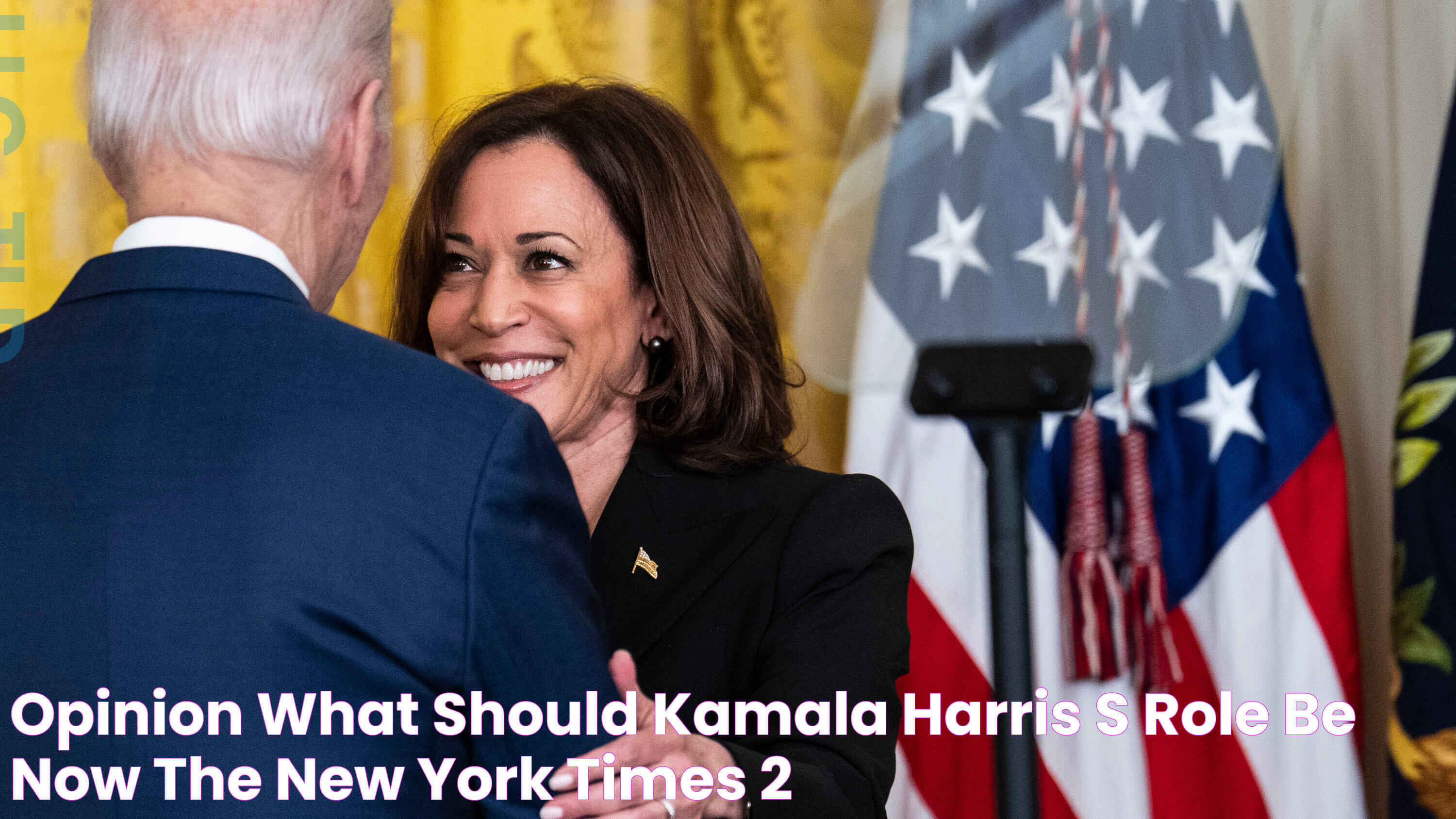 Opinion What Should Kamala Harris’s Role Be Now? The New York Times