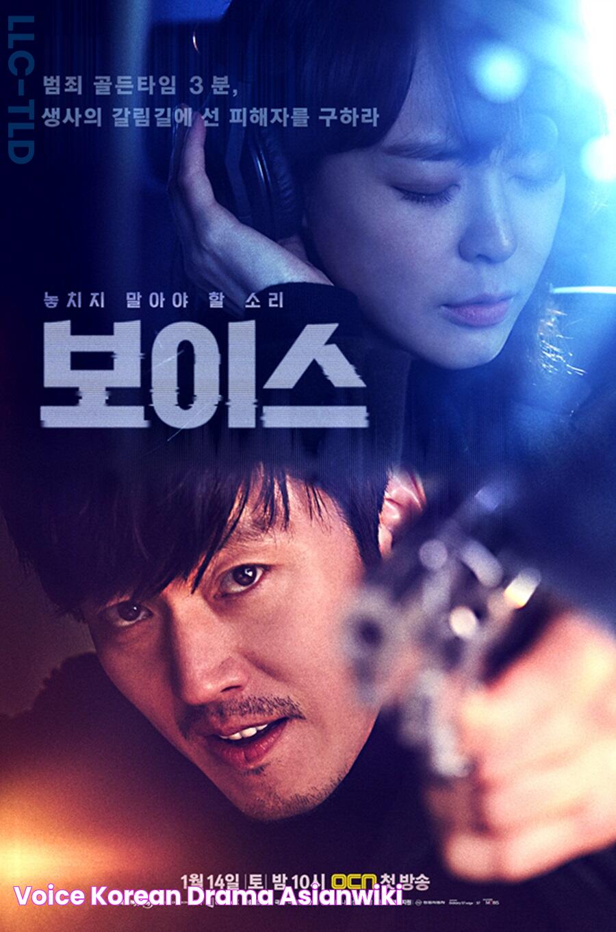 Voice (Korean Drama) AsianWiki