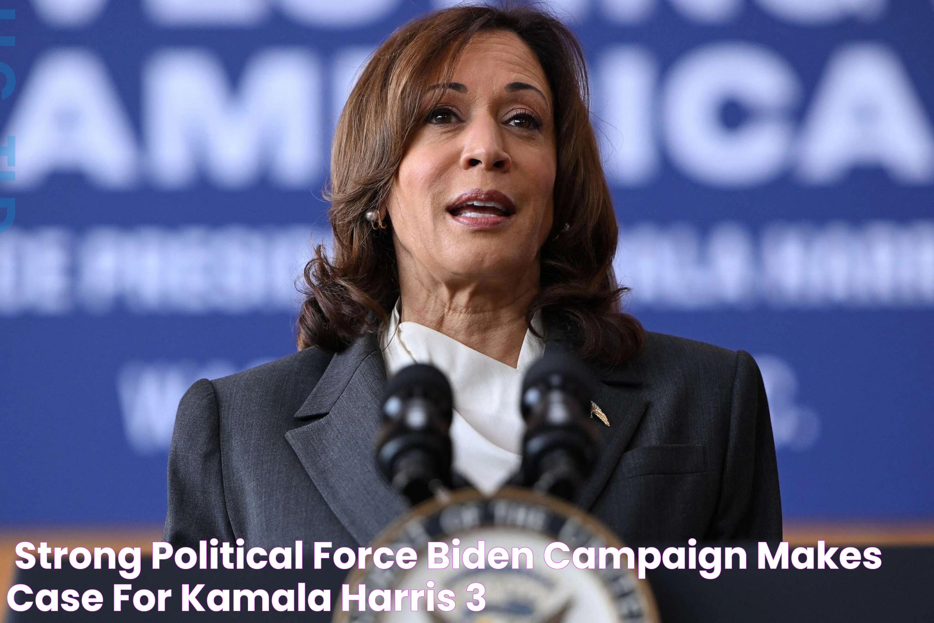 'Strong political force' Biden campaign makes case for Kamala Harris 3