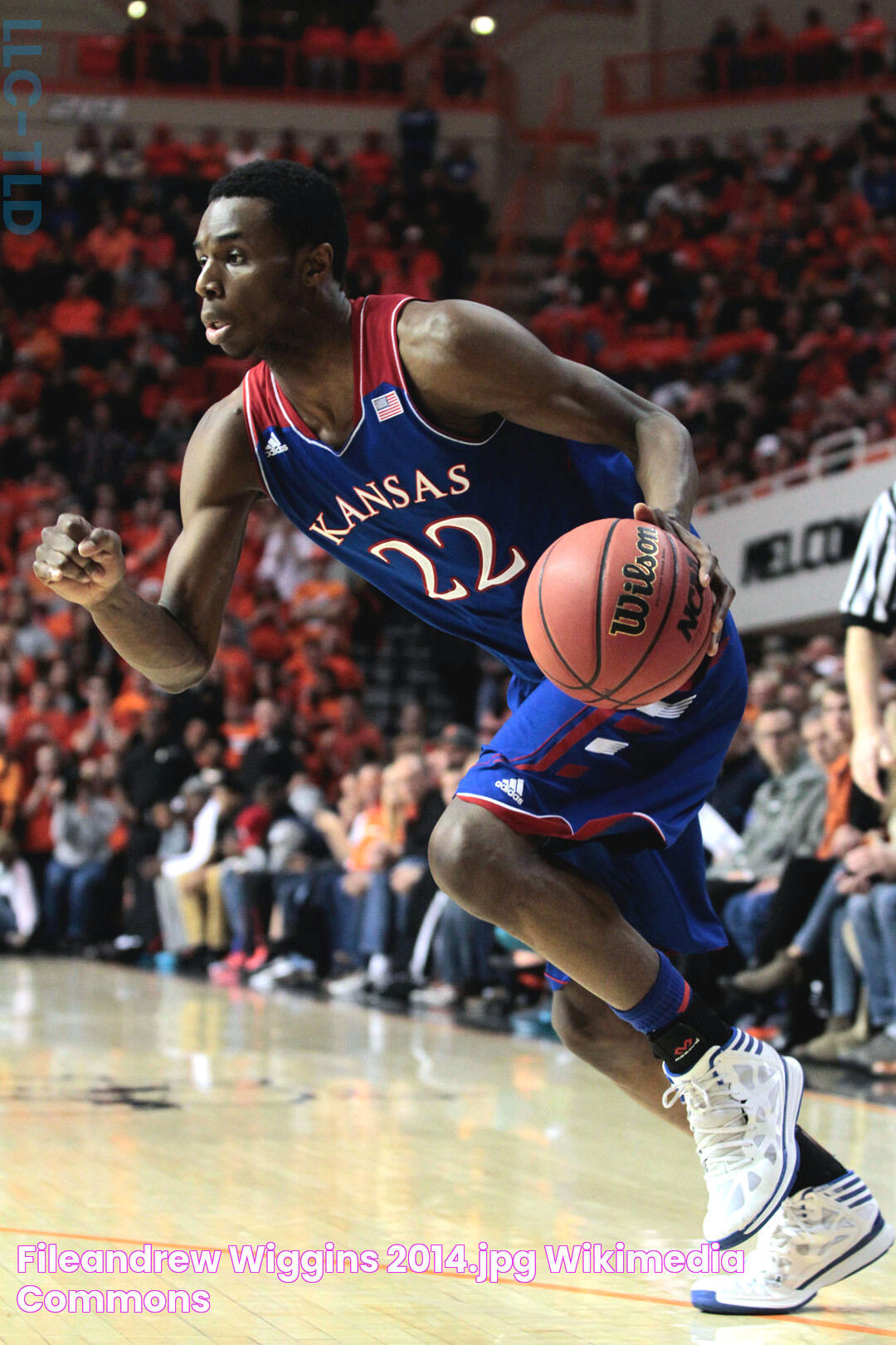 FileAndrew Wiggins 2014.jpg Wikimedia Commons