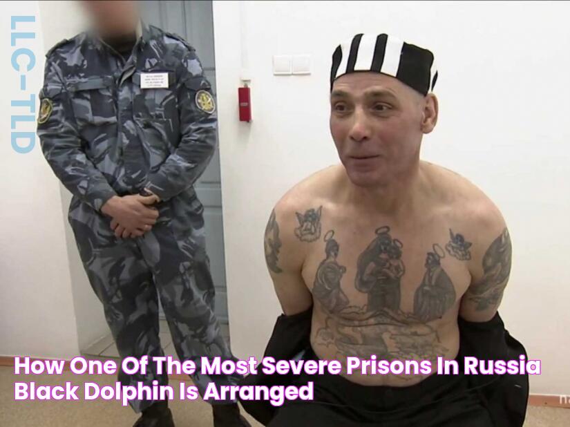 How one of the most severe prisons in Russia "Black Dolphin"is arranged