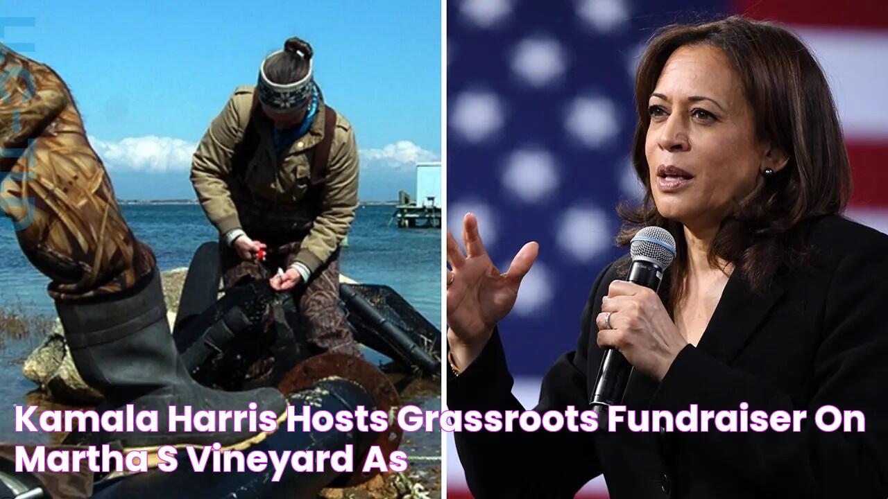 Find The Truth: Kamala's Alleged Drinking Problem Exposed