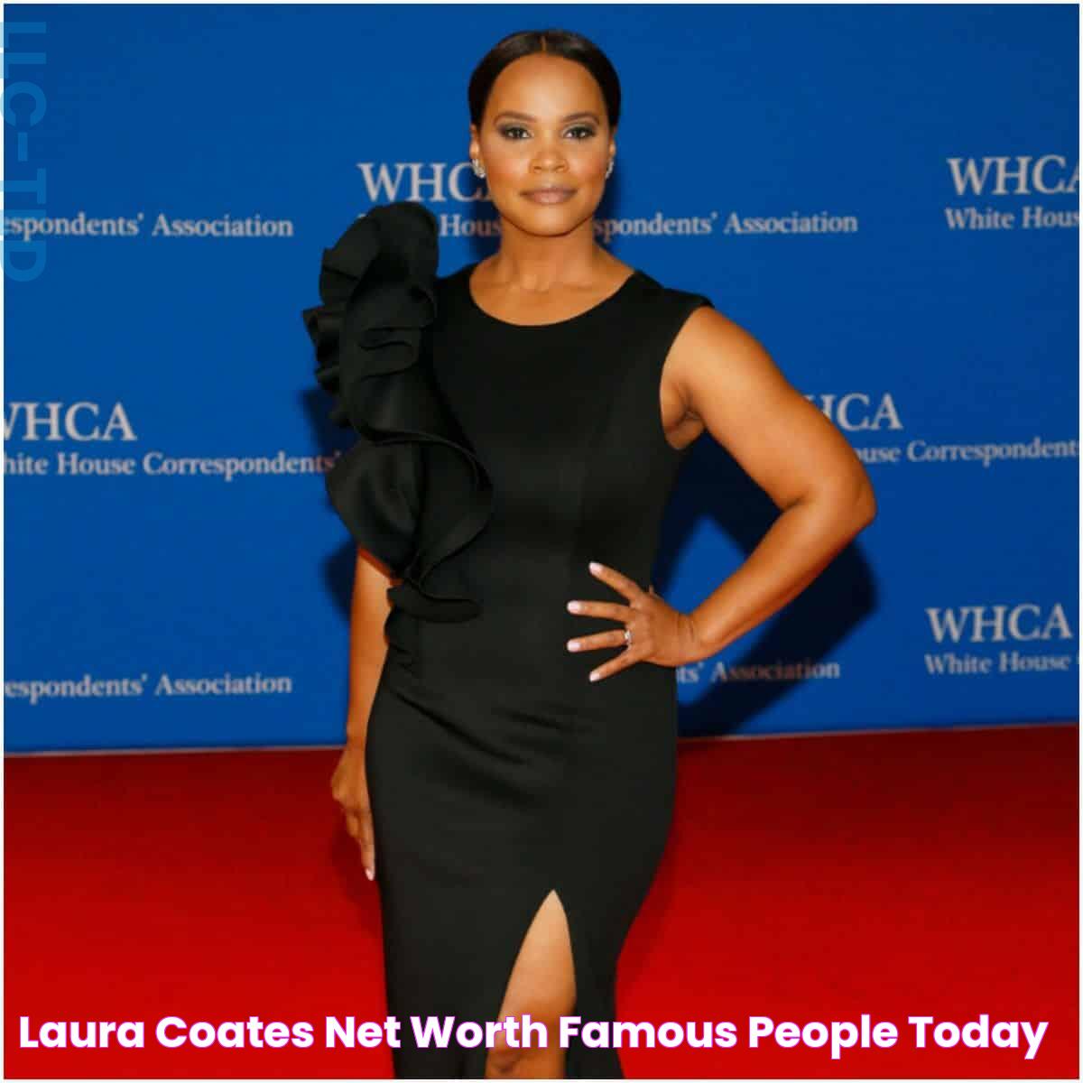 Laura Coates Net Worth Famous People Today