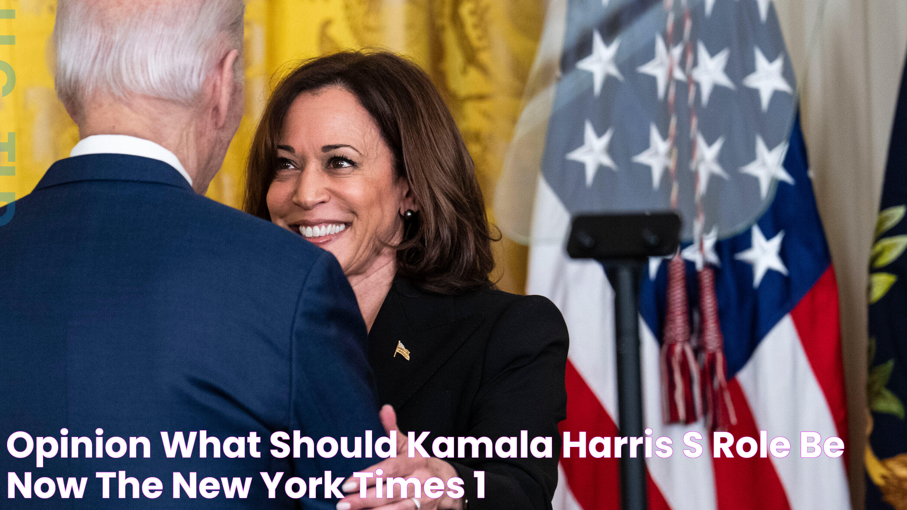 Opinion What Should Kamala Harris’s Role Be Now? The New York Times