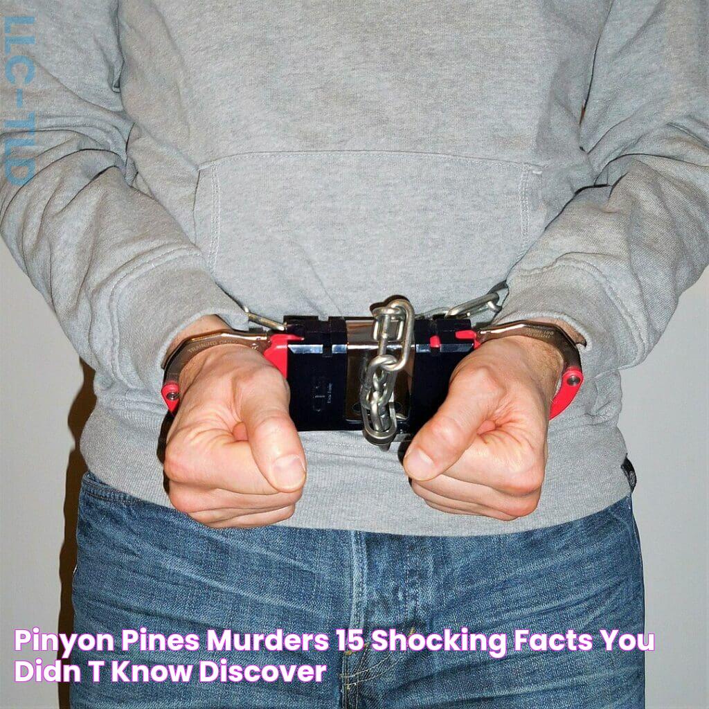 The Latest On The Pinyon Pines Murders: Updates And Discoveries For 2024