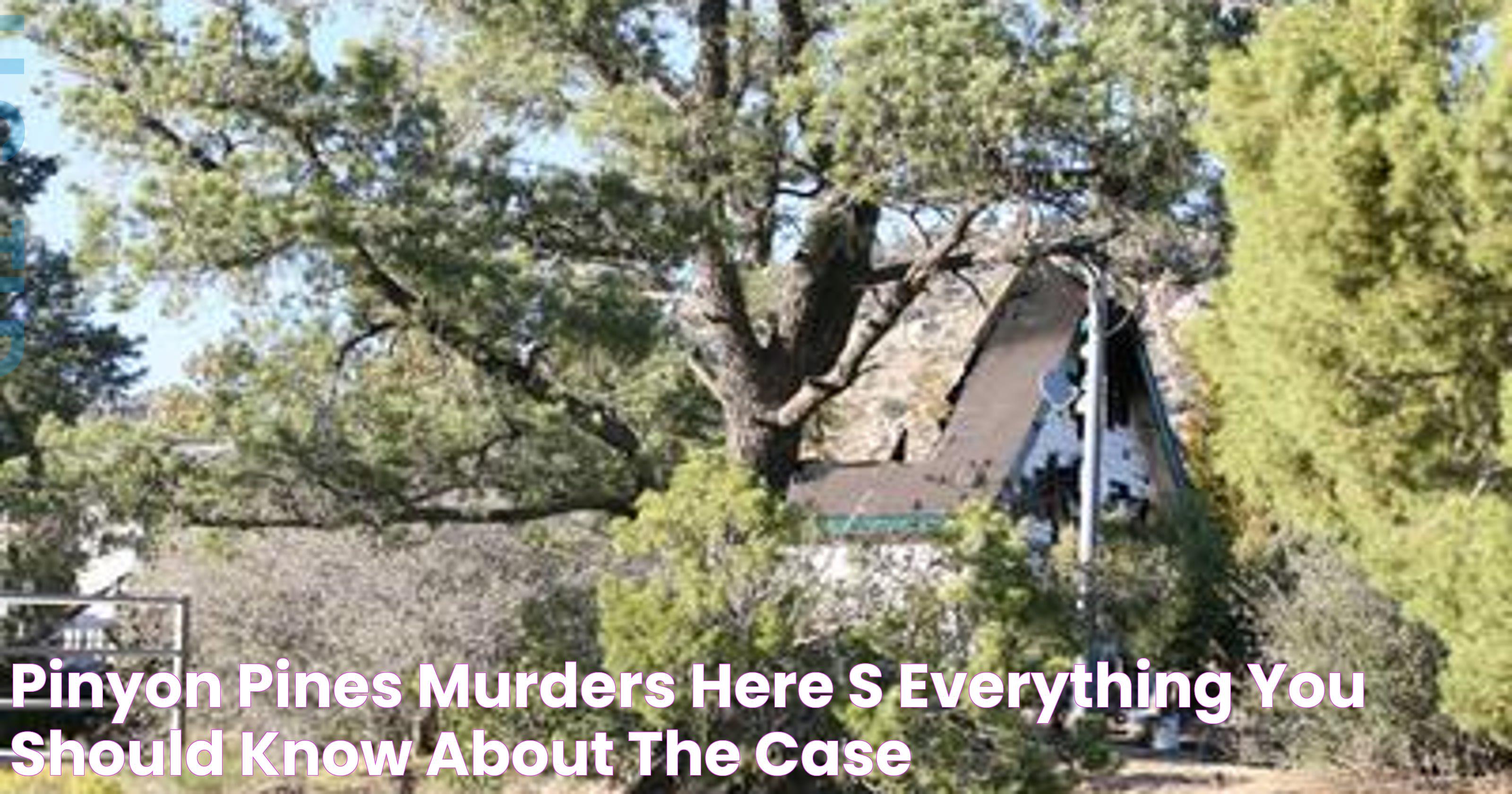 Pinyon Pines murders Here's everything you should know about the case