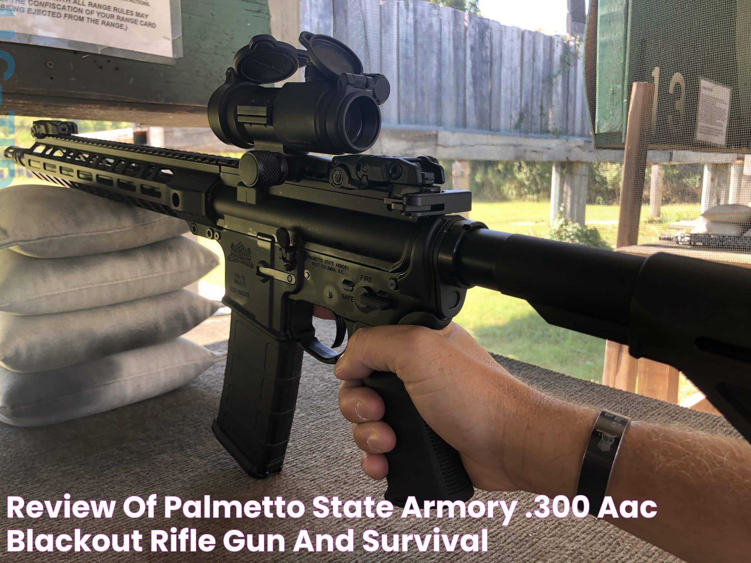 Unlock Exclusive Palmetto State Armory Discounts: Save Big Today!