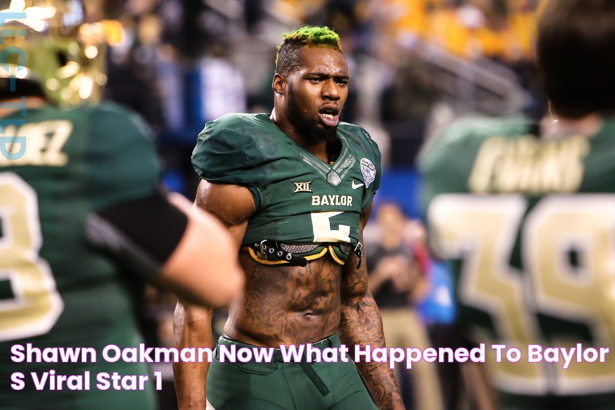 Shawn Oakman Now What Happened to Baylor's Viral Star?