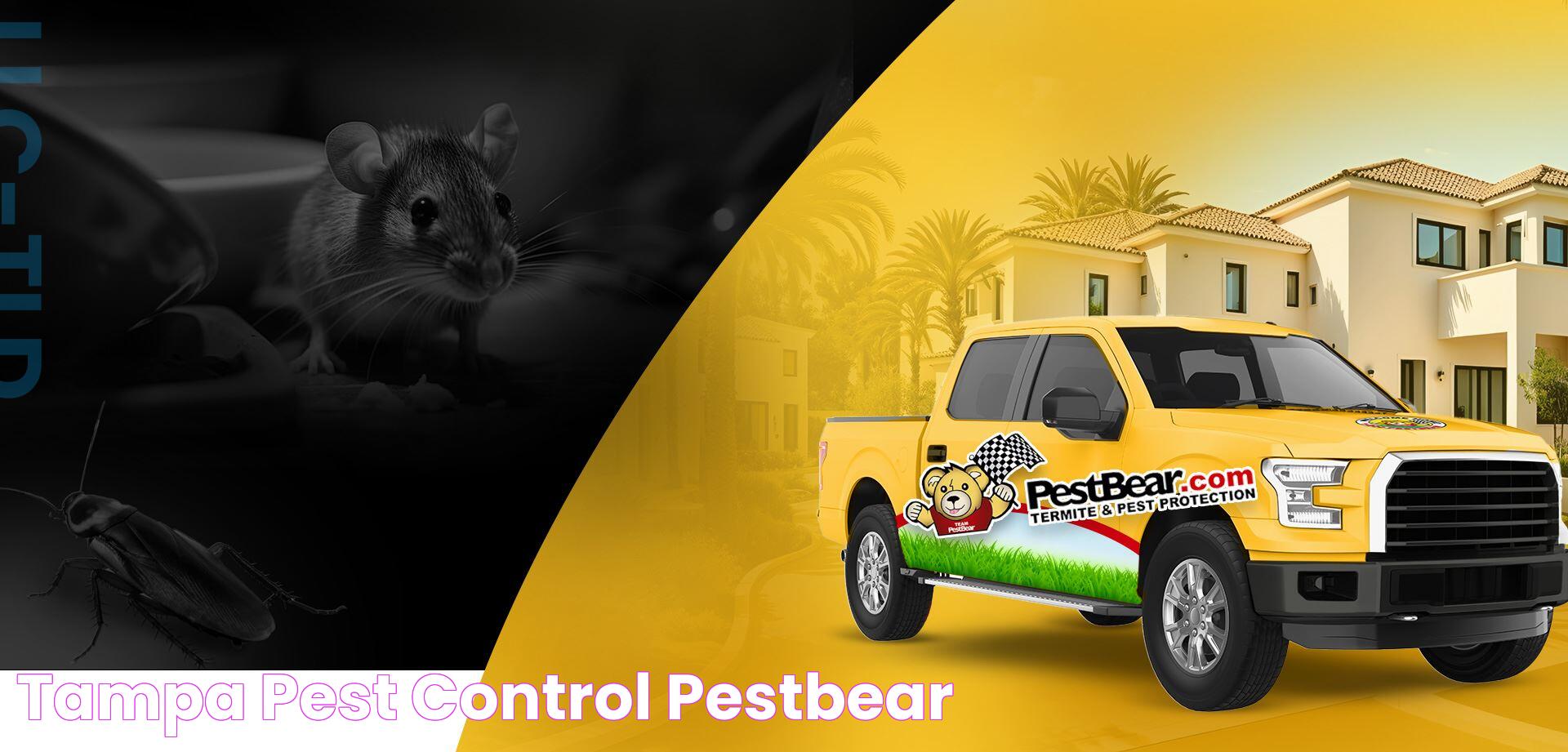 Tampa Pest Control PestBear