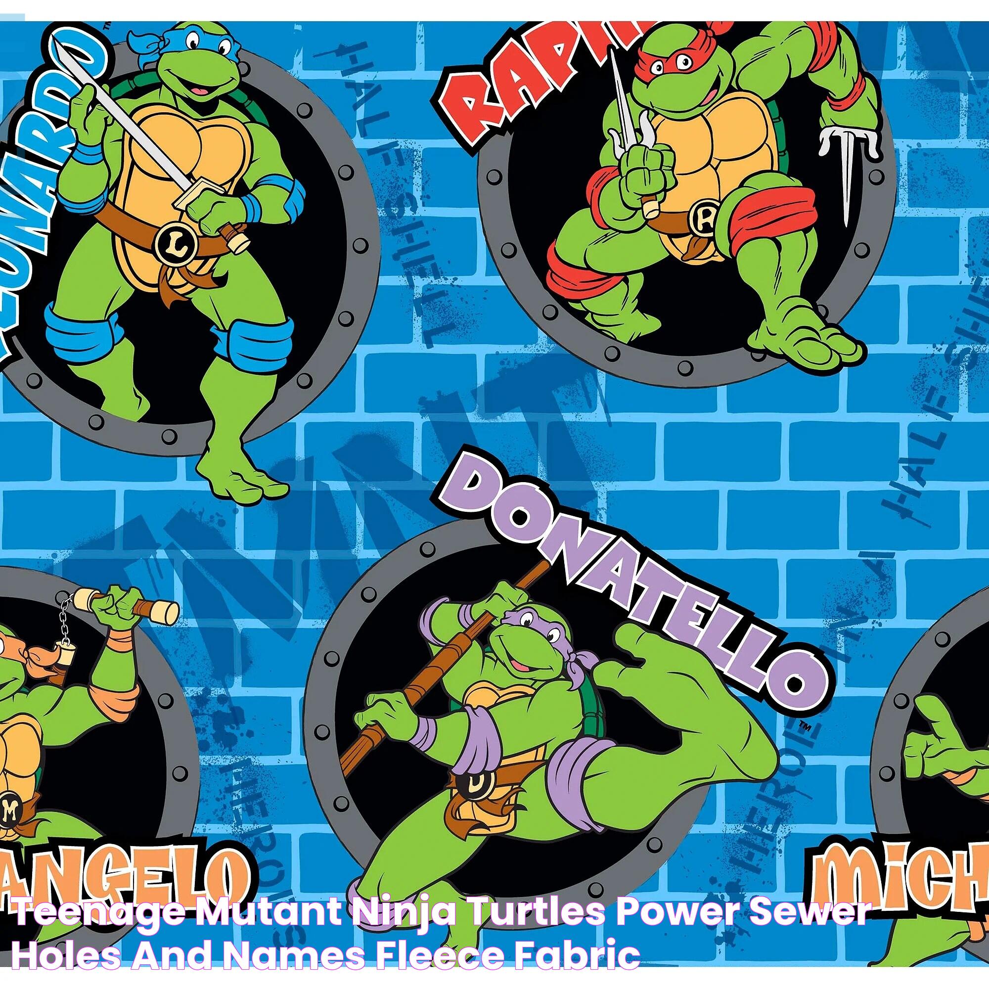 Teenage Mutant Ninja Turtles Power Sewer Holes and Names Fleece Fabric