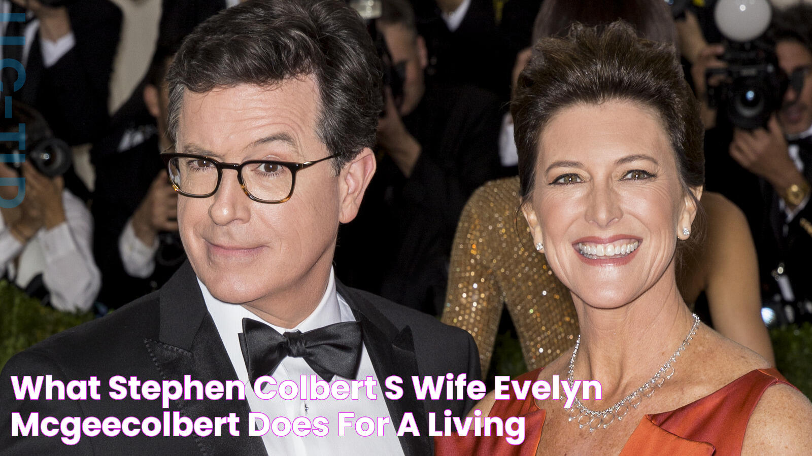 What Stephen Colbert's Wife Evelyn McGeeColbert Does For A Living