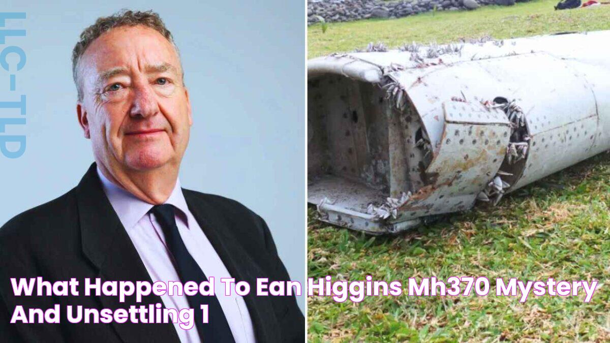 What happened to Ean Higgins? MH370 Mystery and Unsettling