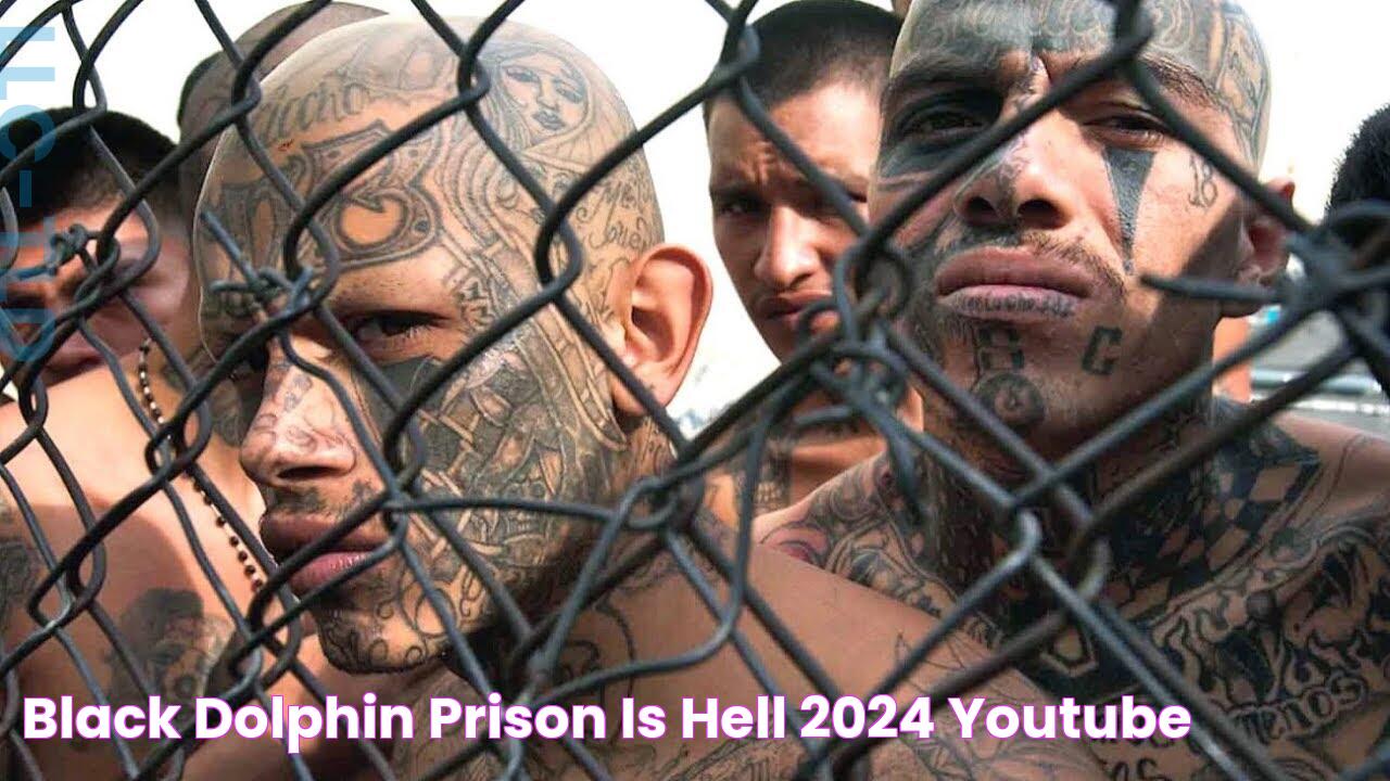 Black Dolphin prison is HELL 2024 YouTube