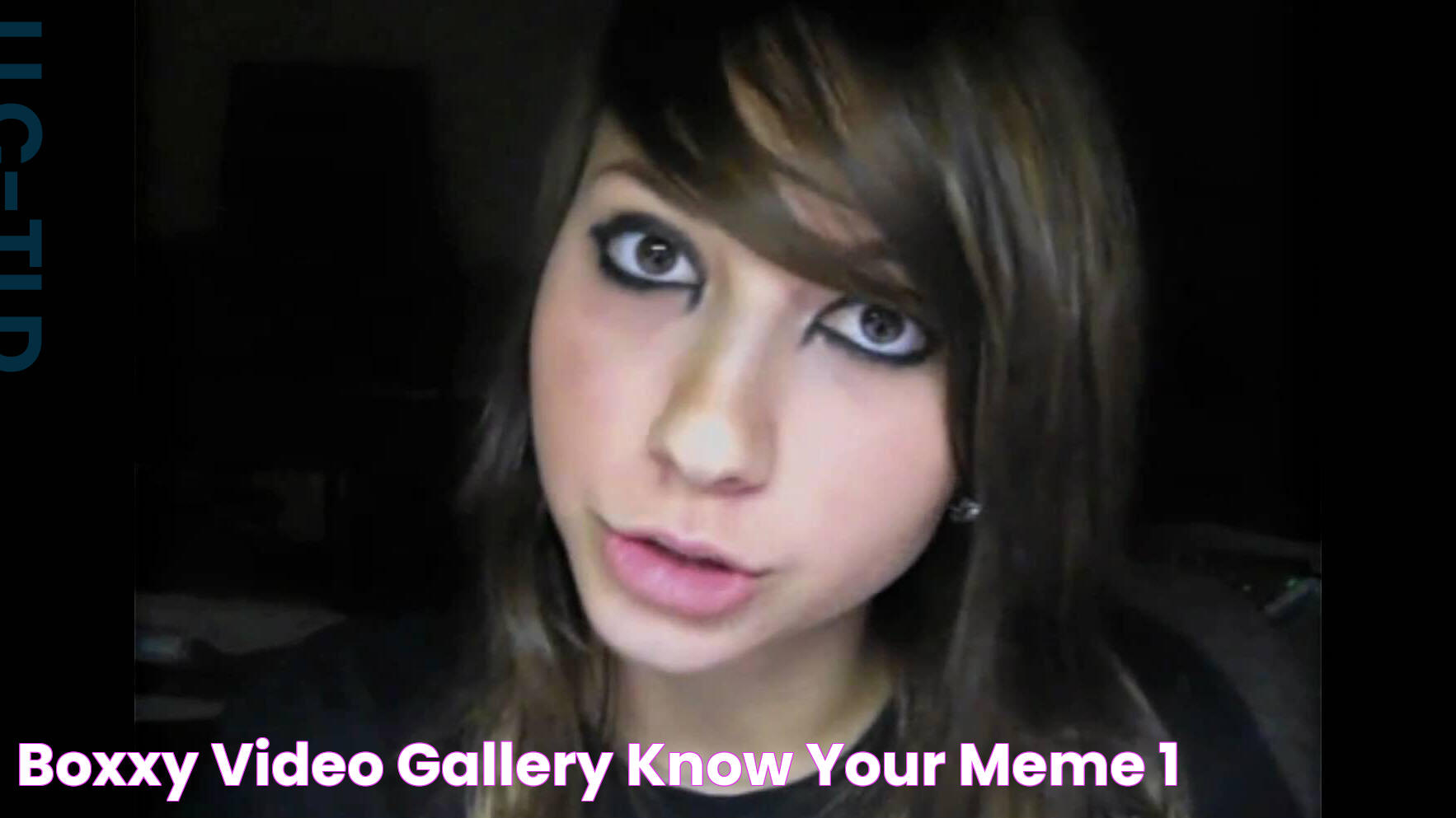 Boxxy Video Gallery Know Your Meme