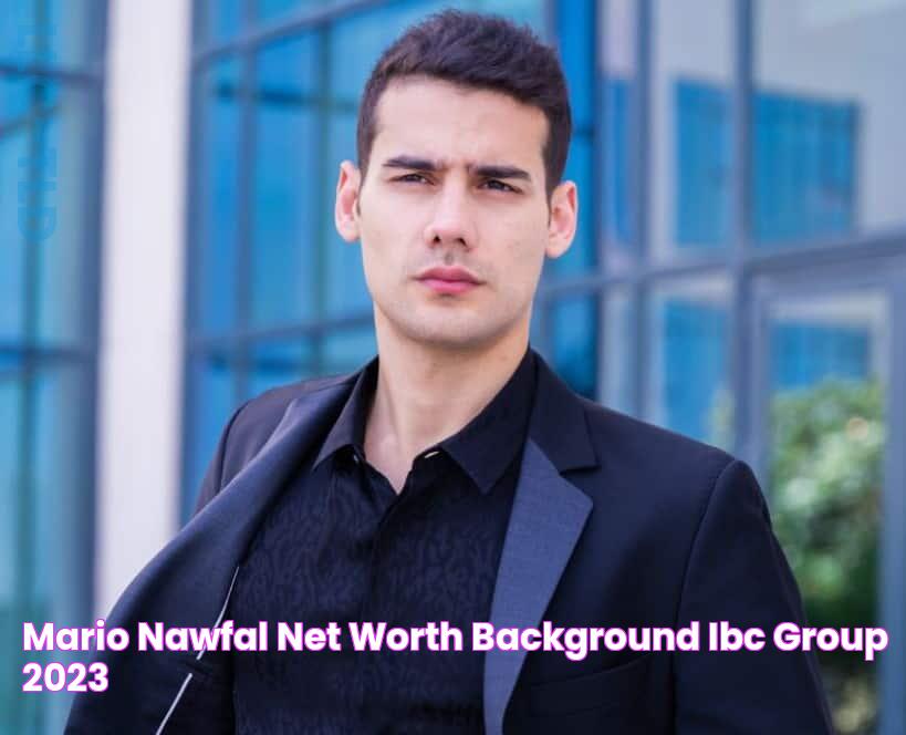 Mario Nawfal Net Worth, Background & IBC Group 2023