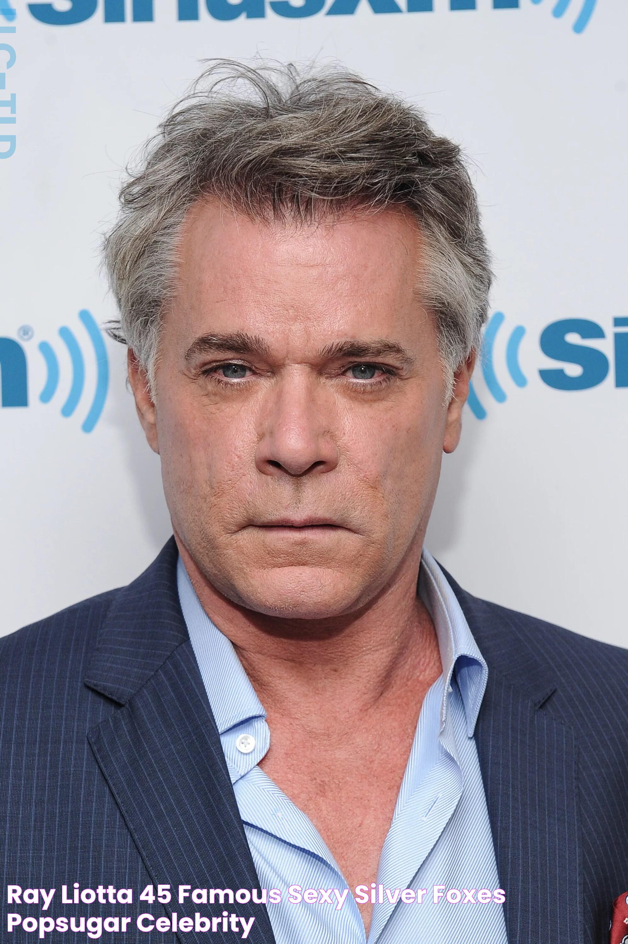 Ray Liotta 45 Famous, Sexy Silver Foxes POPSUGAR Celebrity