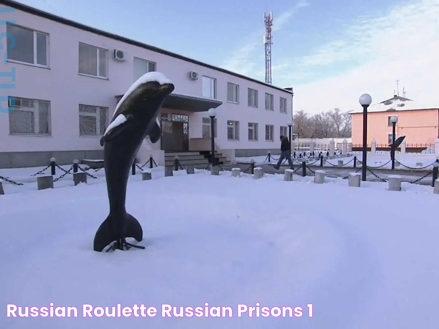 Uncovering The Secrets Of Russia's Notorious Black Dolphin Prison