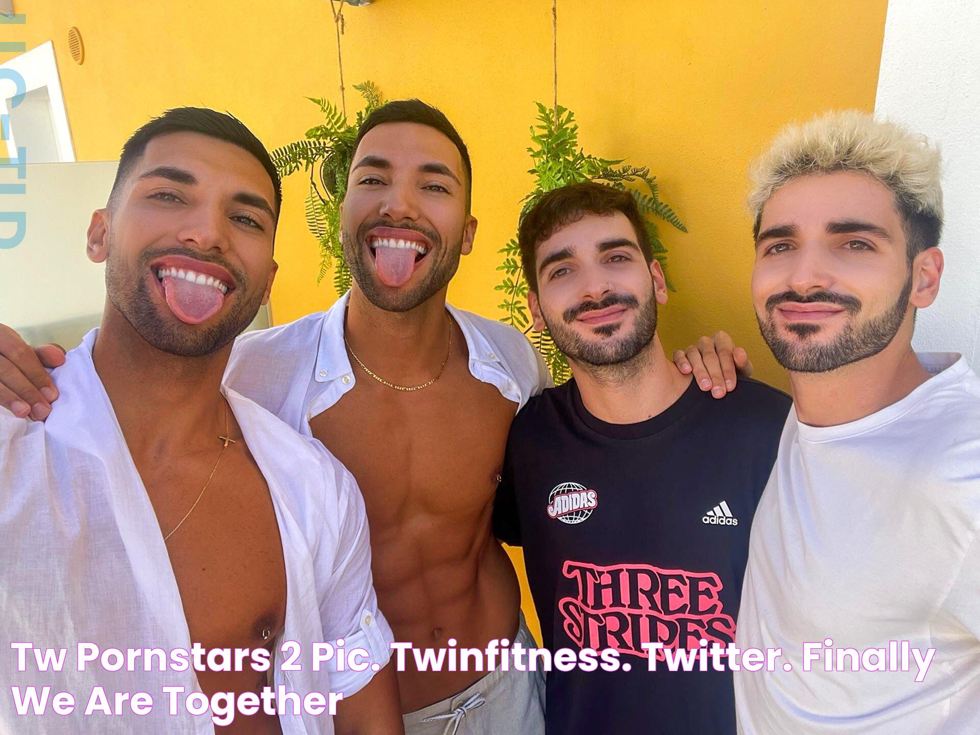 TW Pornstars 2 pic. Twinfitness. Twitter. Finally we are together