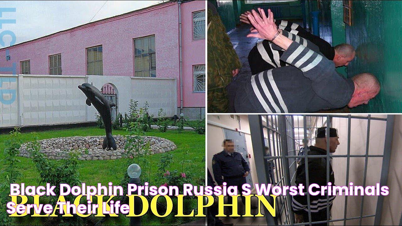 'Black Dolphin Prison' Russia’s Worst Criminals Serve Their Life