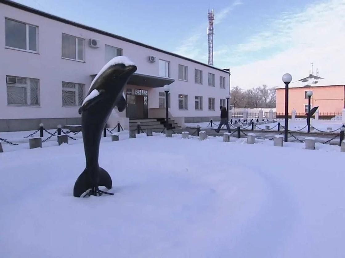 Unveiling The Infamous Black Dolphin Prison: Location And Secrets Revealed