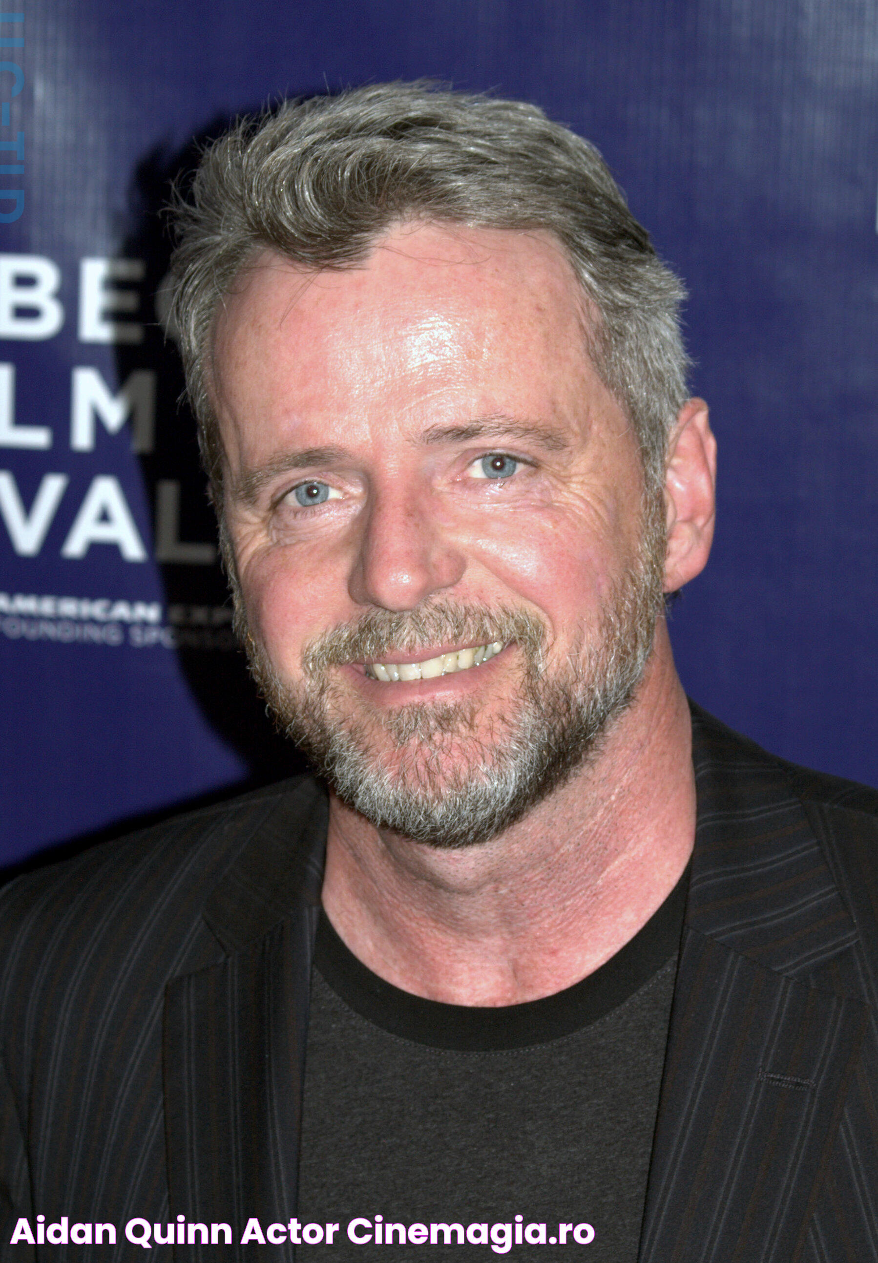 Aidan Quinn Actor CineMagia.ro