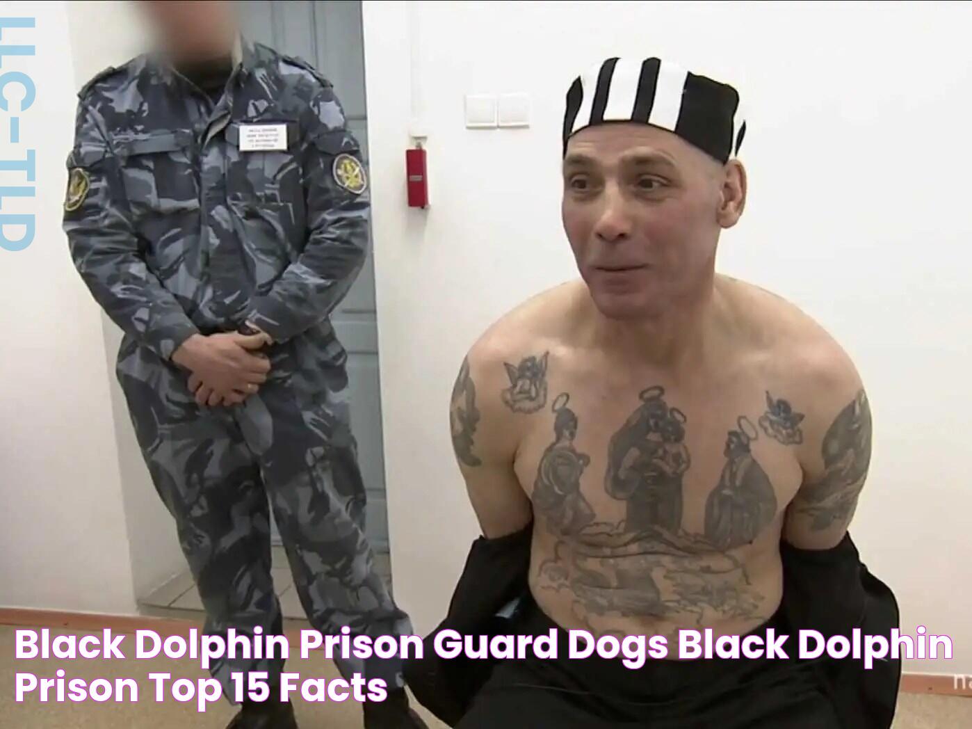 Black Dolphin Prison Guard Dogs, Black Dolphin Prison Top 15 Facts