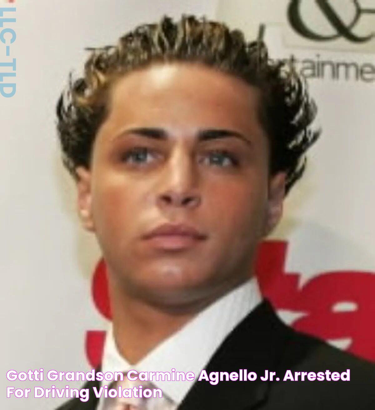 Gotti grandson Carmine Agnello Jr. arrested for driving violation