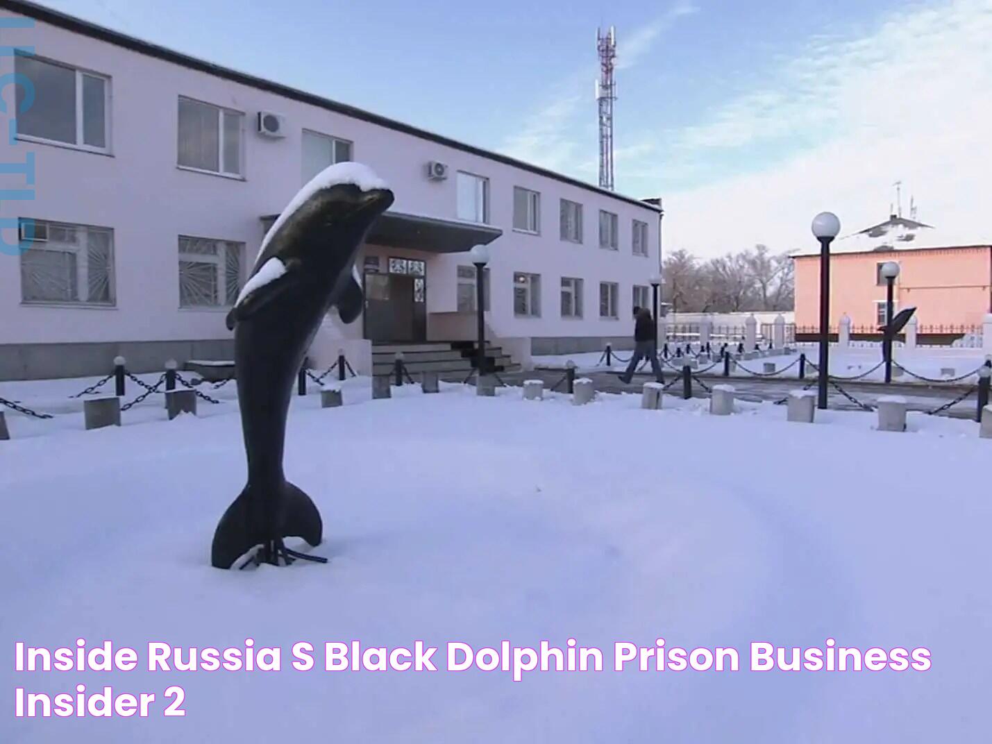 The Hidden Truth About Dolphin Prisons: Uncovering The Dark Side Of Captivity