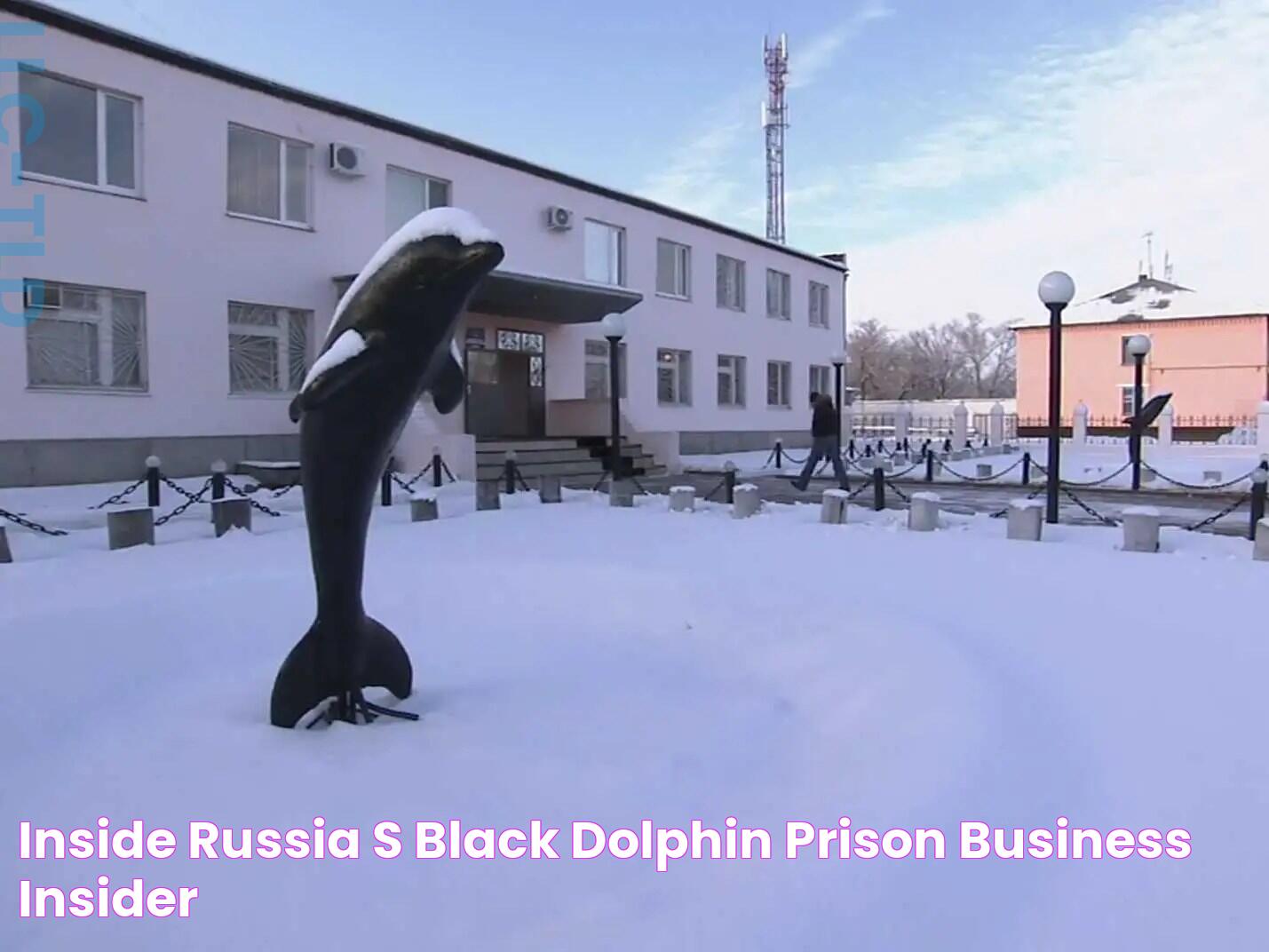 Shocking Images Unveiled: Black Dolphin Prison's Dark Secrets Revealed