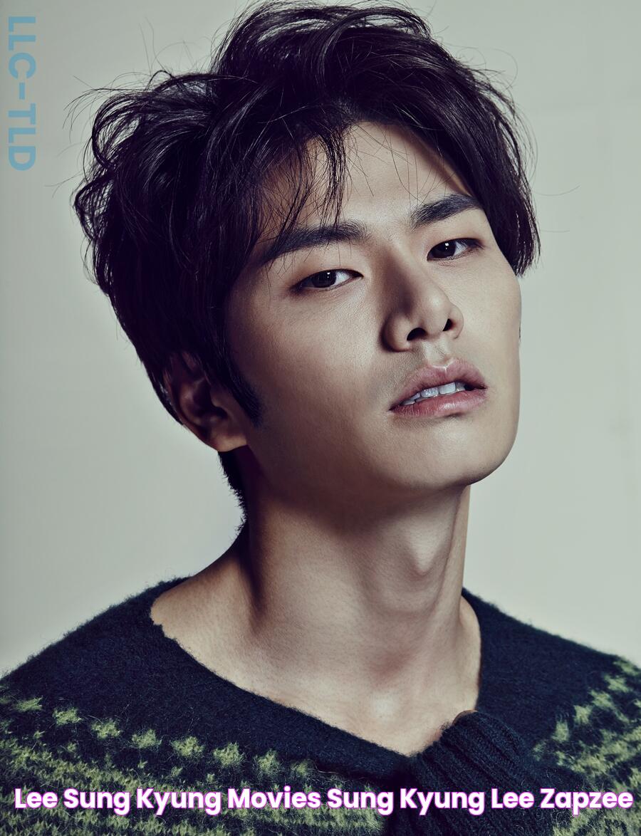 Essential Guide To Lee Yi Kyung On AsianWiki