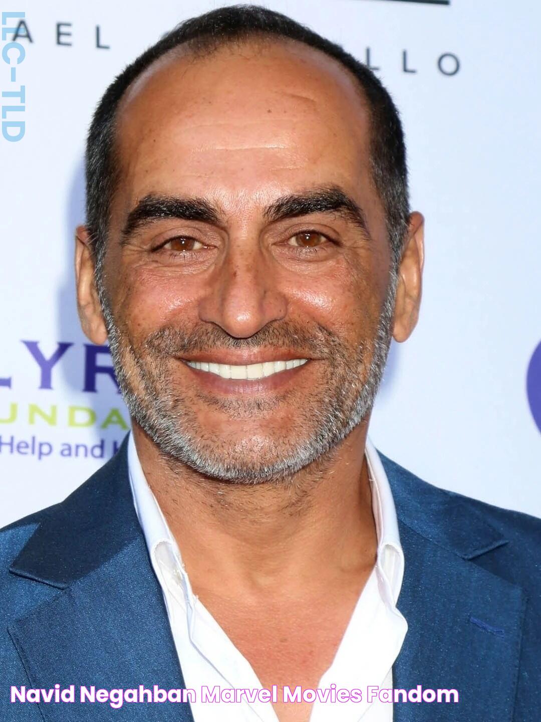 Uncover Navid Negahban's Captivating Performances