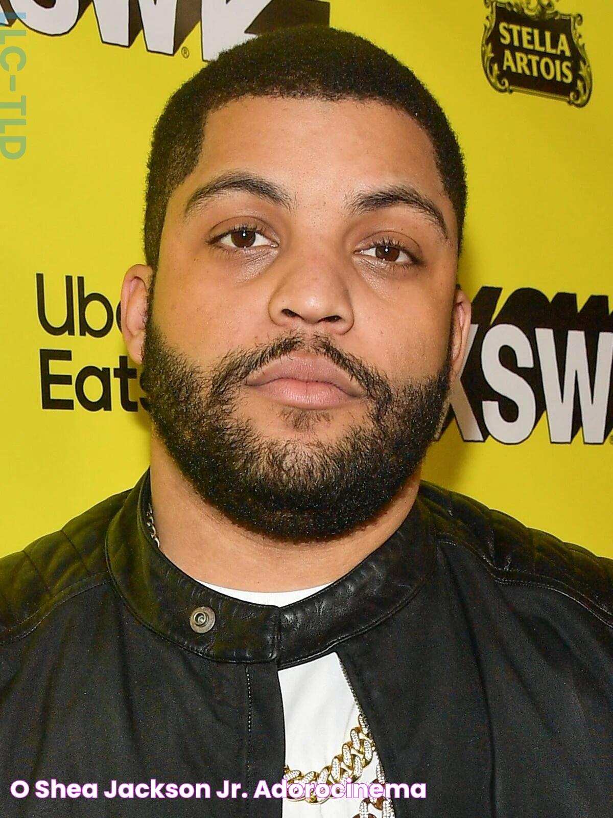 O'Shea Jackson Jr. AdoroCinema