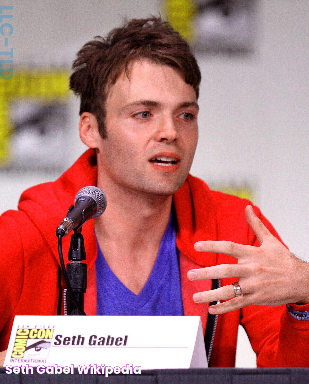 Seth Gabel Wikipedia