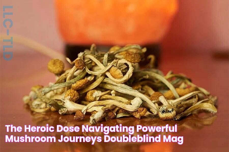 Discover The Power Of Heroic Dosing: The Ultimate Guide For Experienced Psychonauts